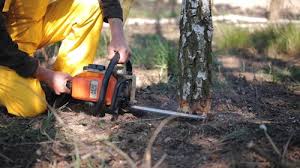 Best Lawn Mowing  in East Hampton North, NY